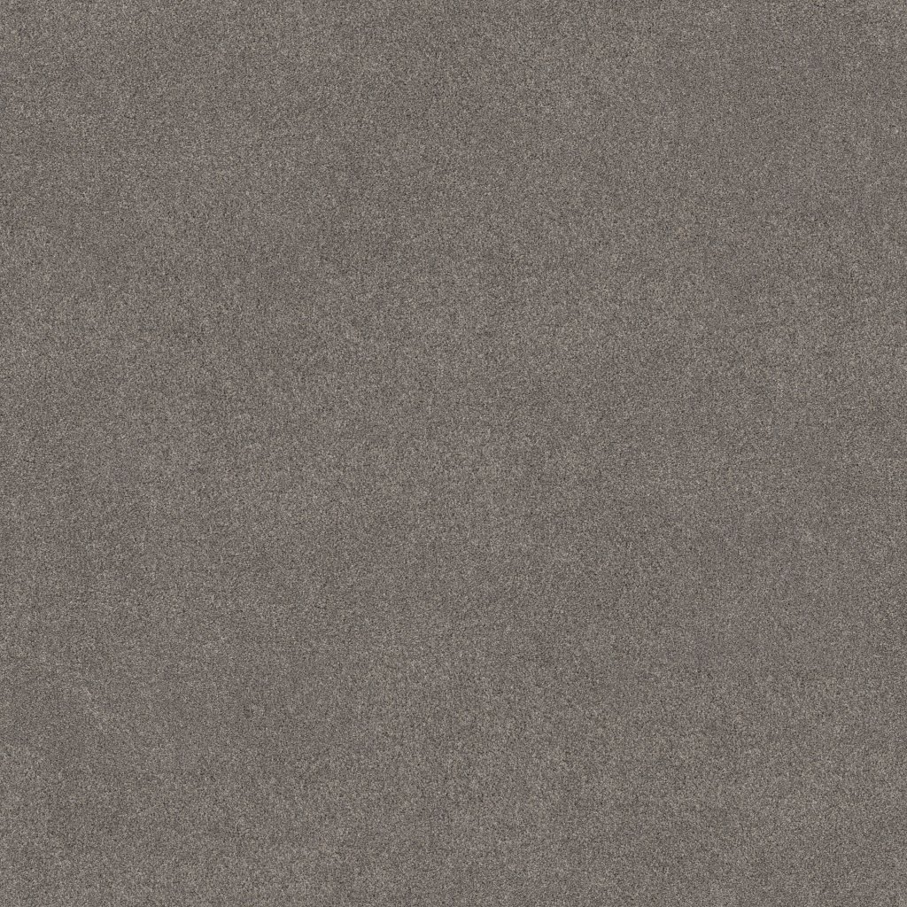 Shaw Floors Blended Touch II - Wild Rocks