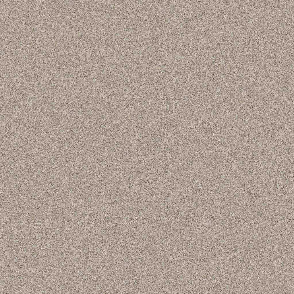 Shaw Floors Grand Influence II - Pebble