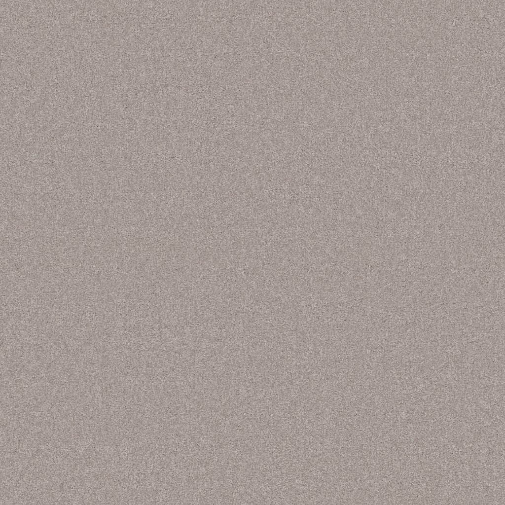 Shaw Floors Your Comfort II - Shoreline Haze