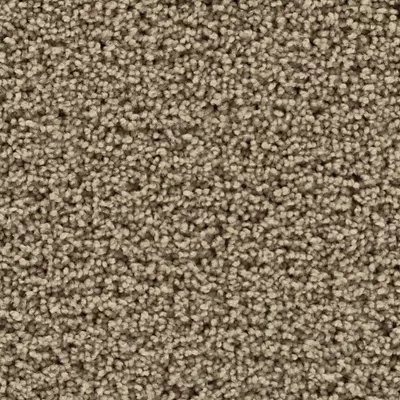 Mohawk Gentle Path - Peanut Shell