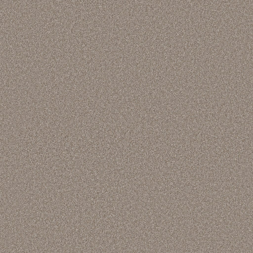 Shaw Floors Classic Tone - Ridgeline