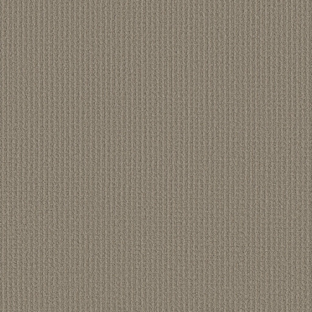 Shaw Floors Aerial Arts - Artisan Taupe