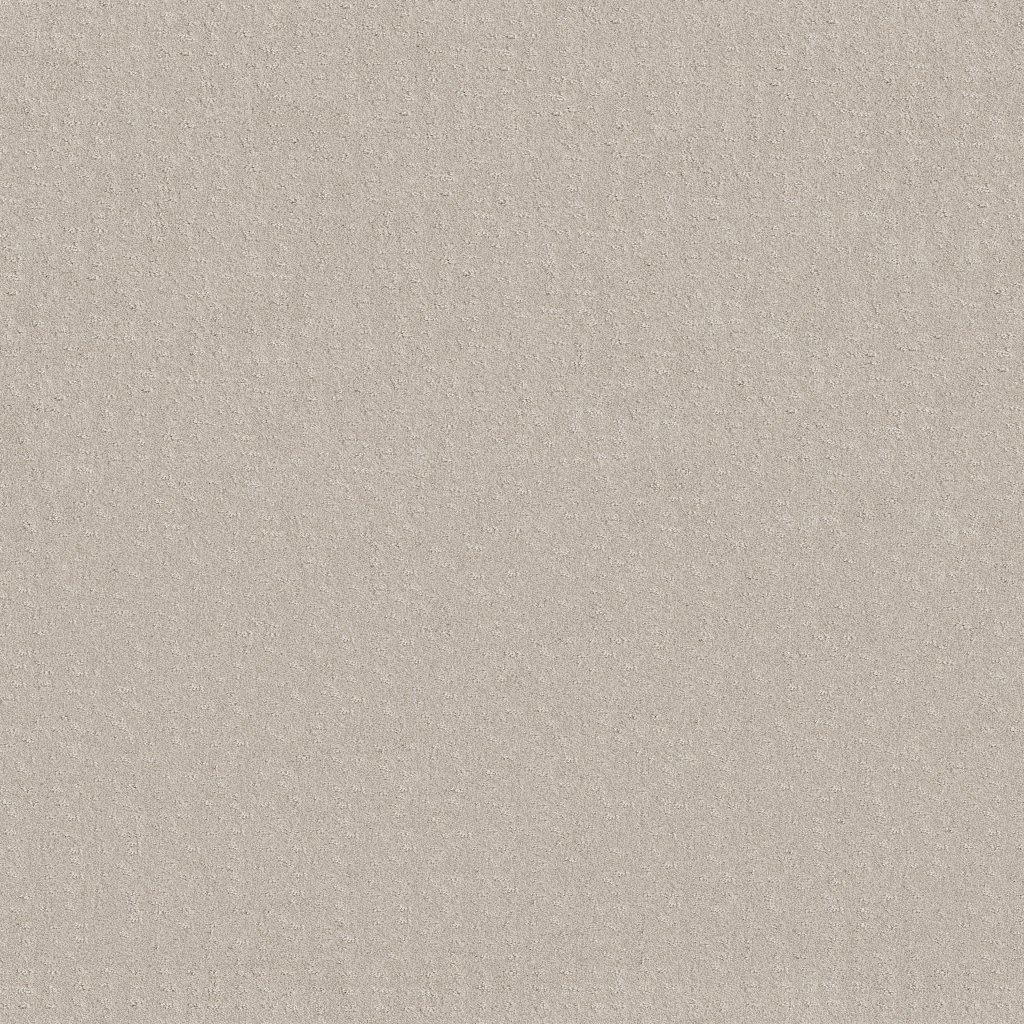 Shaw Floors Chic Nuance - Serene Still