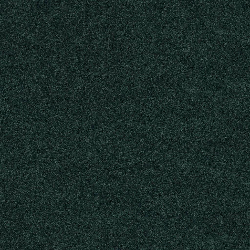 Shaw Floors Newbern Classic 15' - Polo