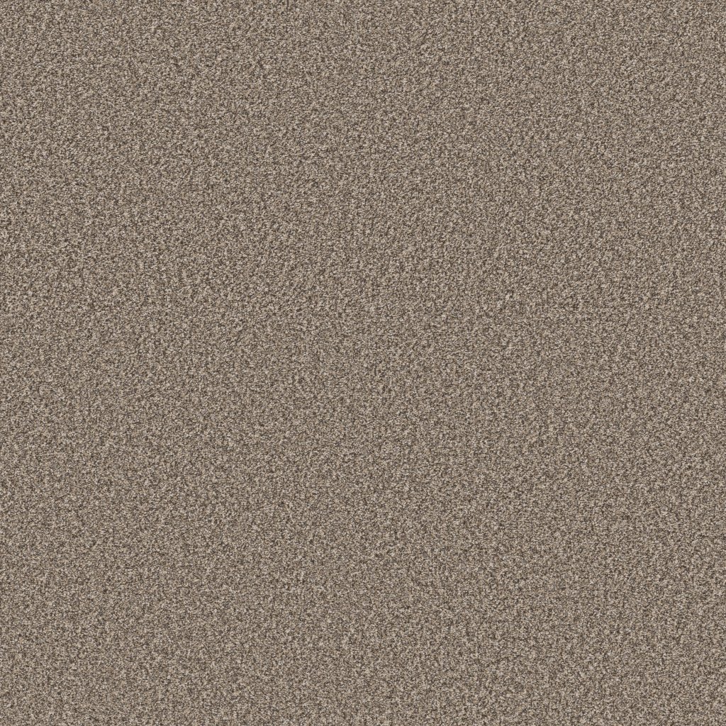 Shaw Floors Artistic Fusion II - Sea Shell