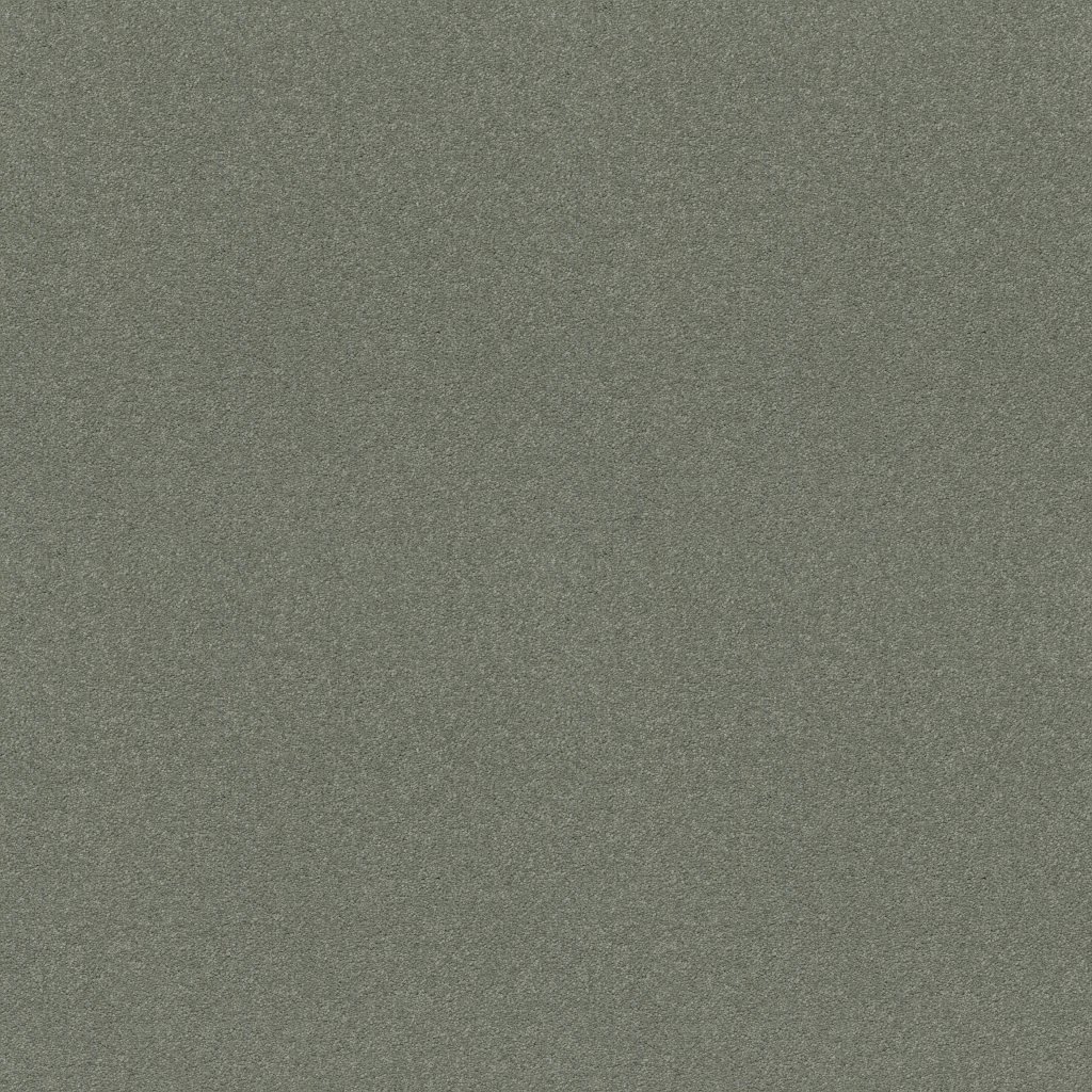 Shaw Floors My Destination III - Silver Sage