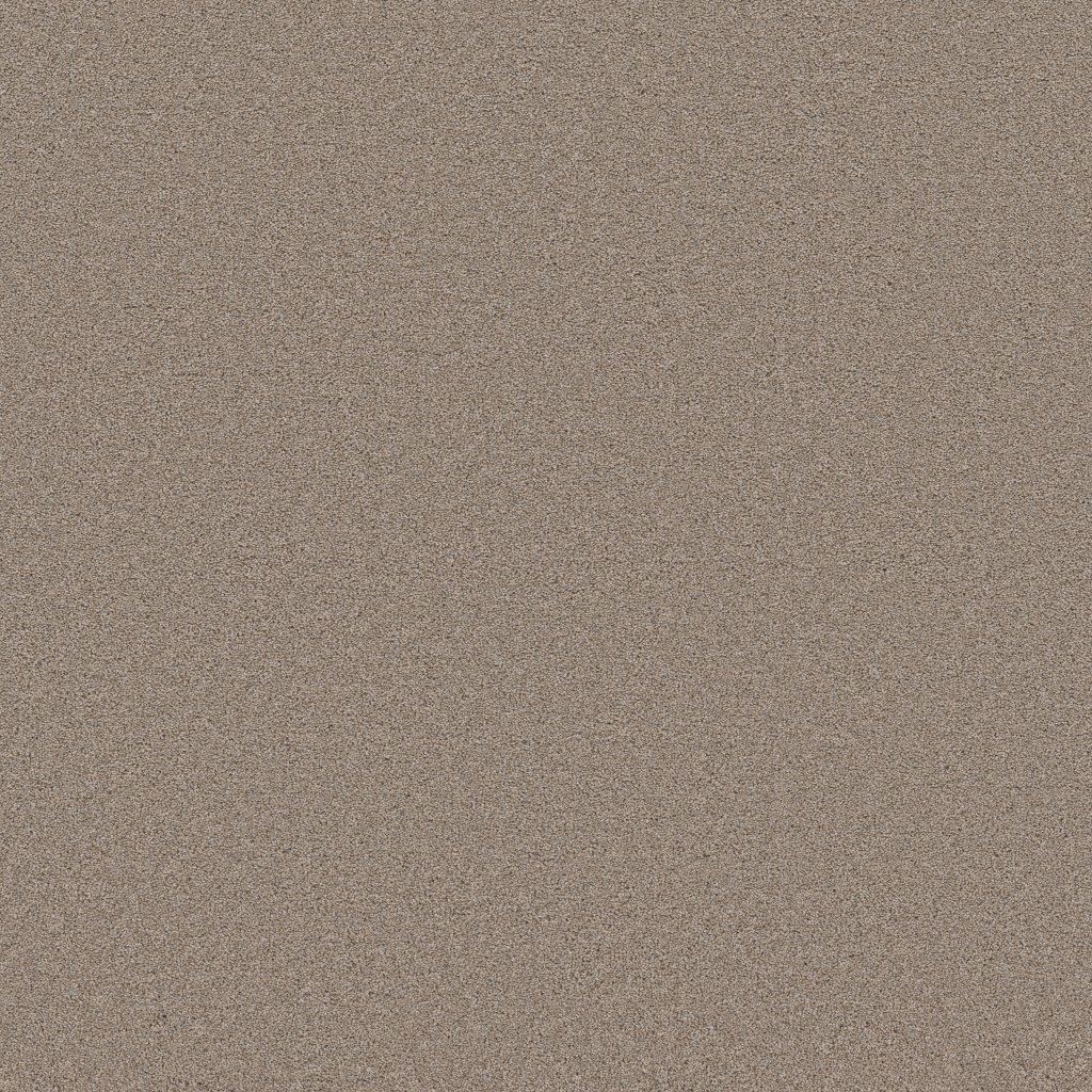 Shaw Floors Blended Touch I - Wool Blend