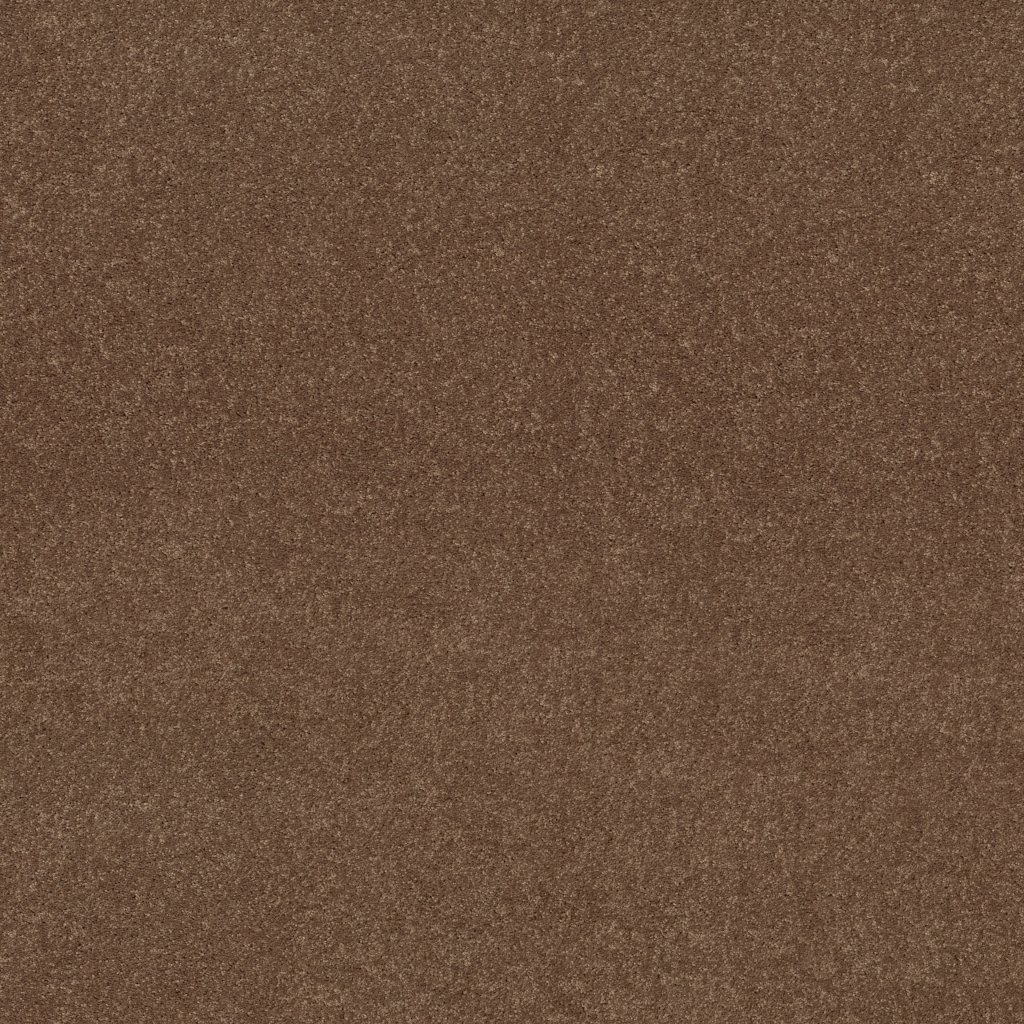 Shaw Floors Essay II 12' - Owl