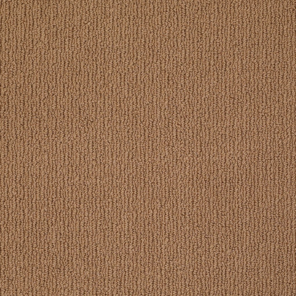 Shaw Floors Casual Mood - Molasses