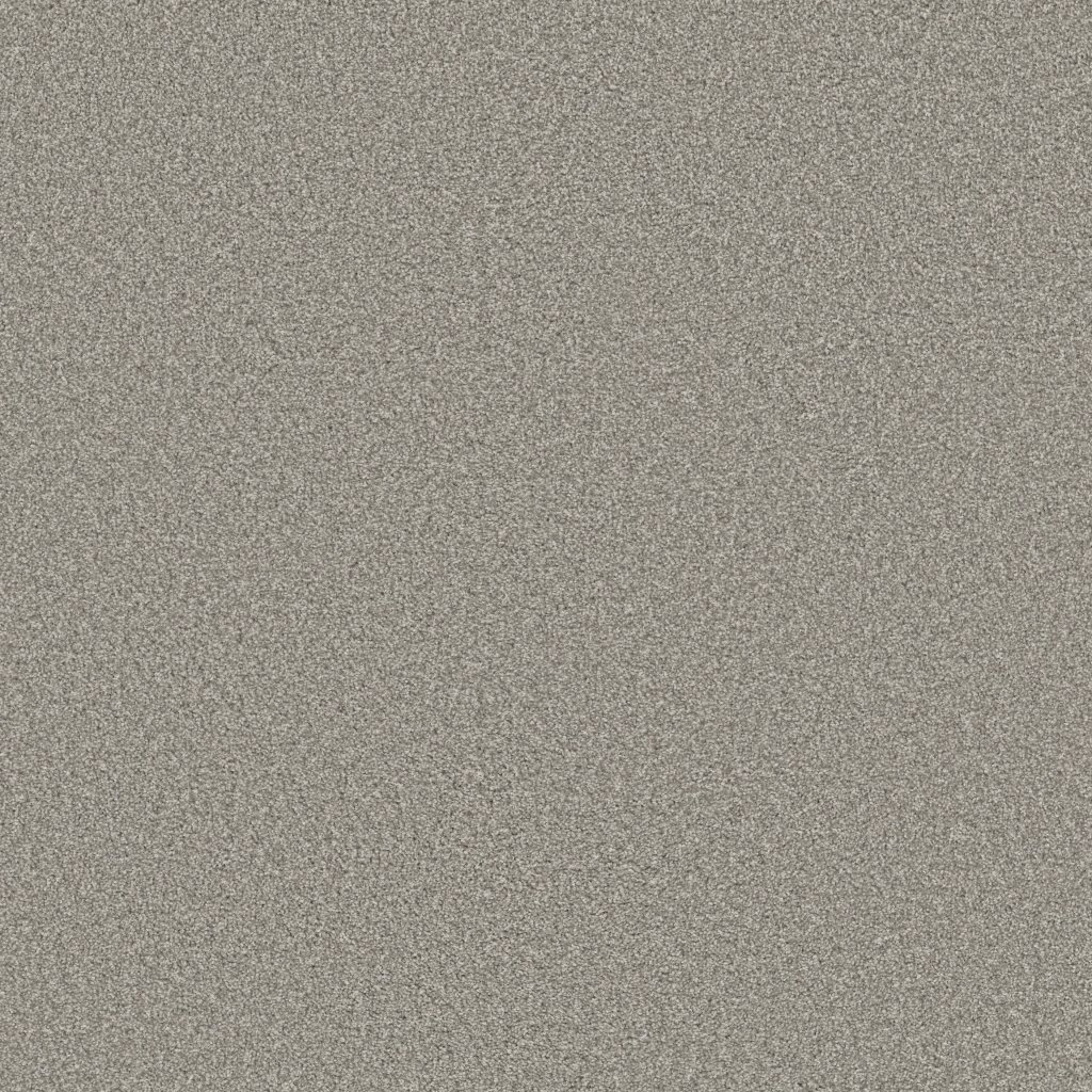 Shaw Floors Trusolutions III - Concrete