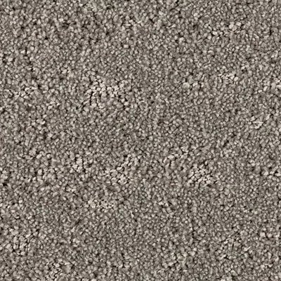 Mohawk Mineral Effects - Oak Tree