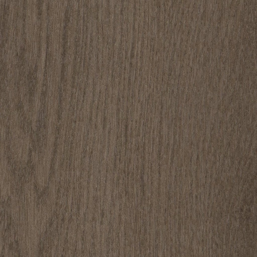 Philadelphia Commercial Willow Oak 20m - Foothills Oak