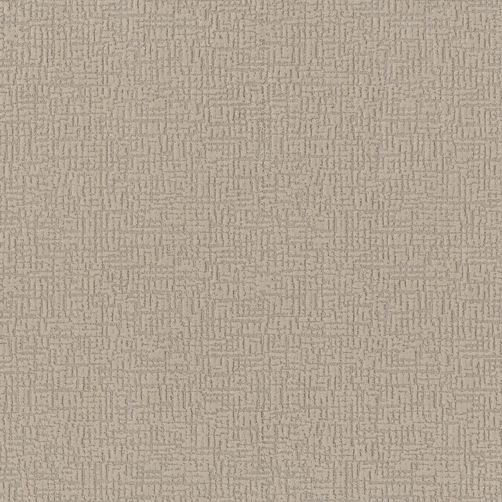 Shaw Floors Acrostic - Natural Beauty