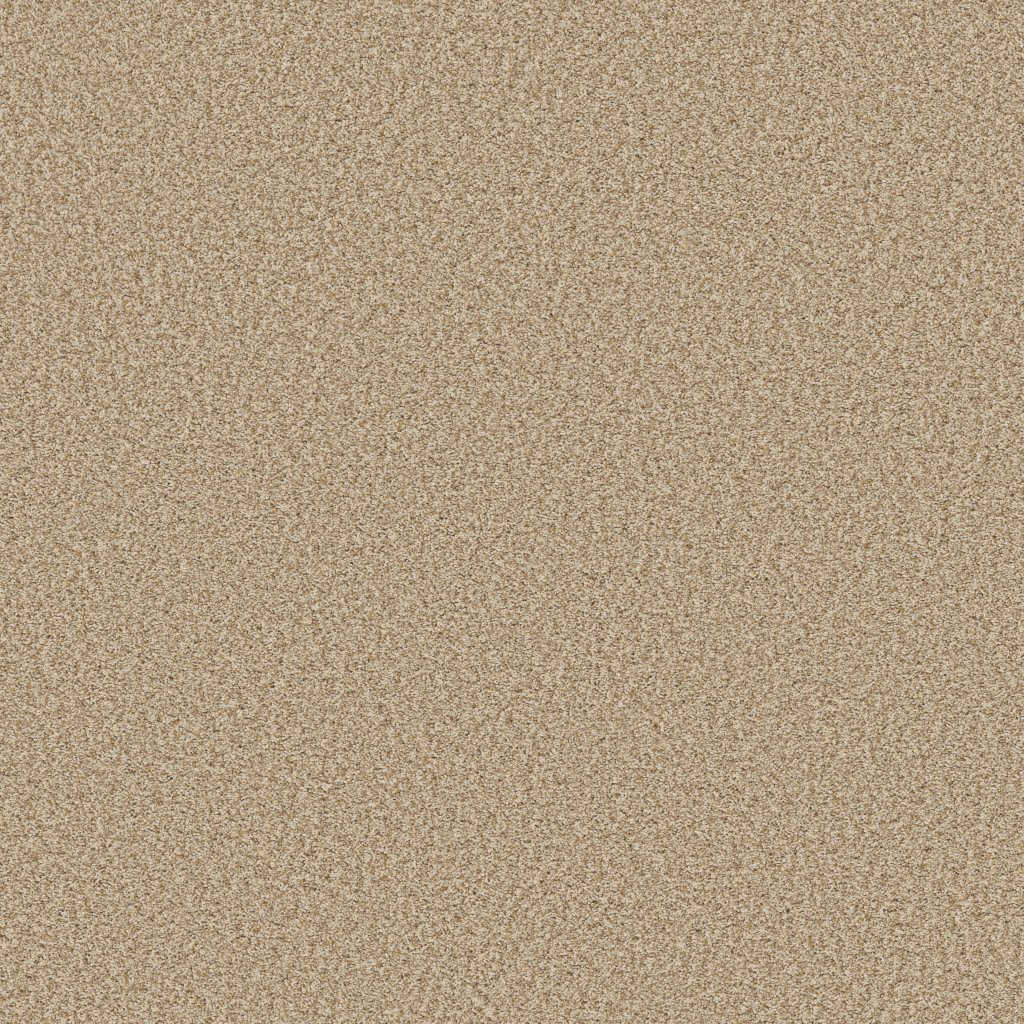 Shaw Floors Prescott Valley - Beach Grass