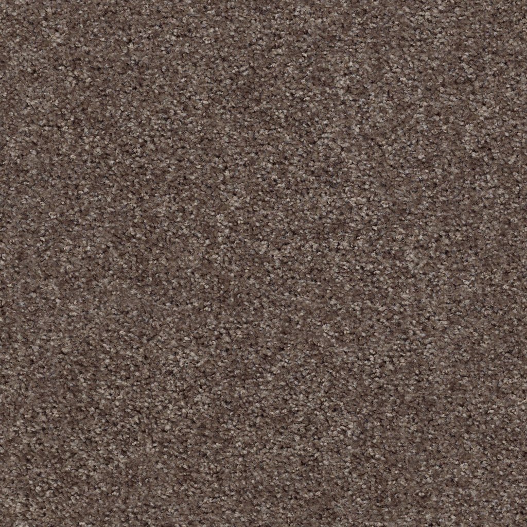 Shaw Floors Valiant - Plymouth Rock