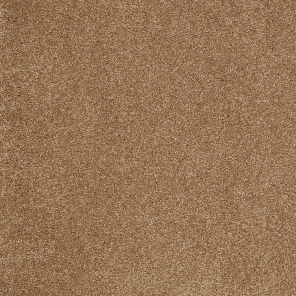 Shaw Floors Shingle Creek IV 12' - Windmill