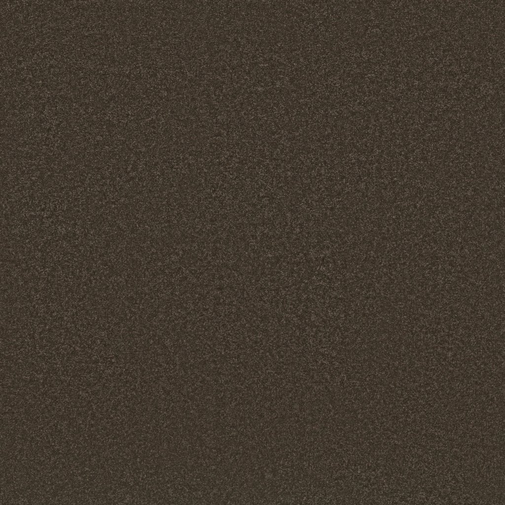 Shaw Floors Awaken Spirit I - Wood Grain