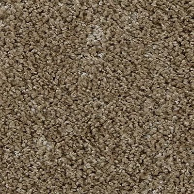 Mohawk Bark And Roll - Warm Sand