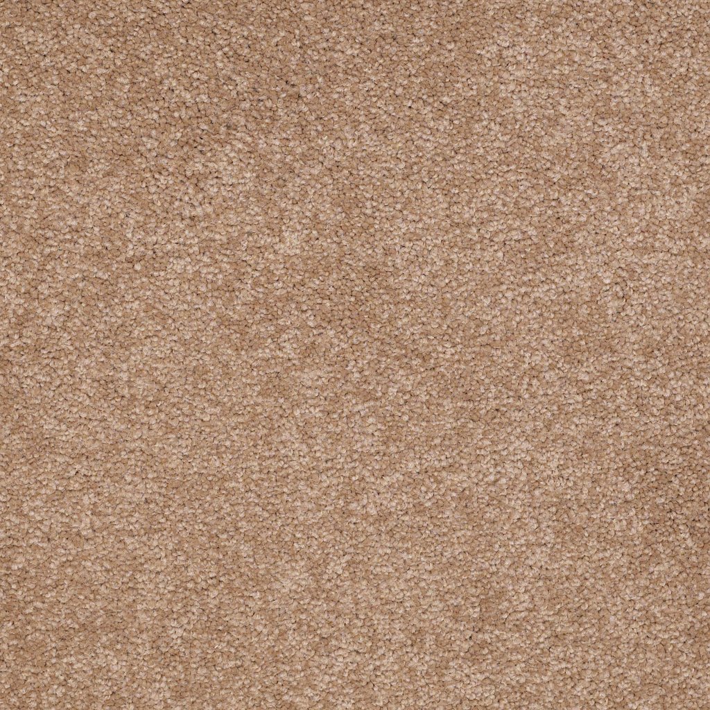 Shaw Floors Timeless Appeal Ii 15' - Spanish Tile