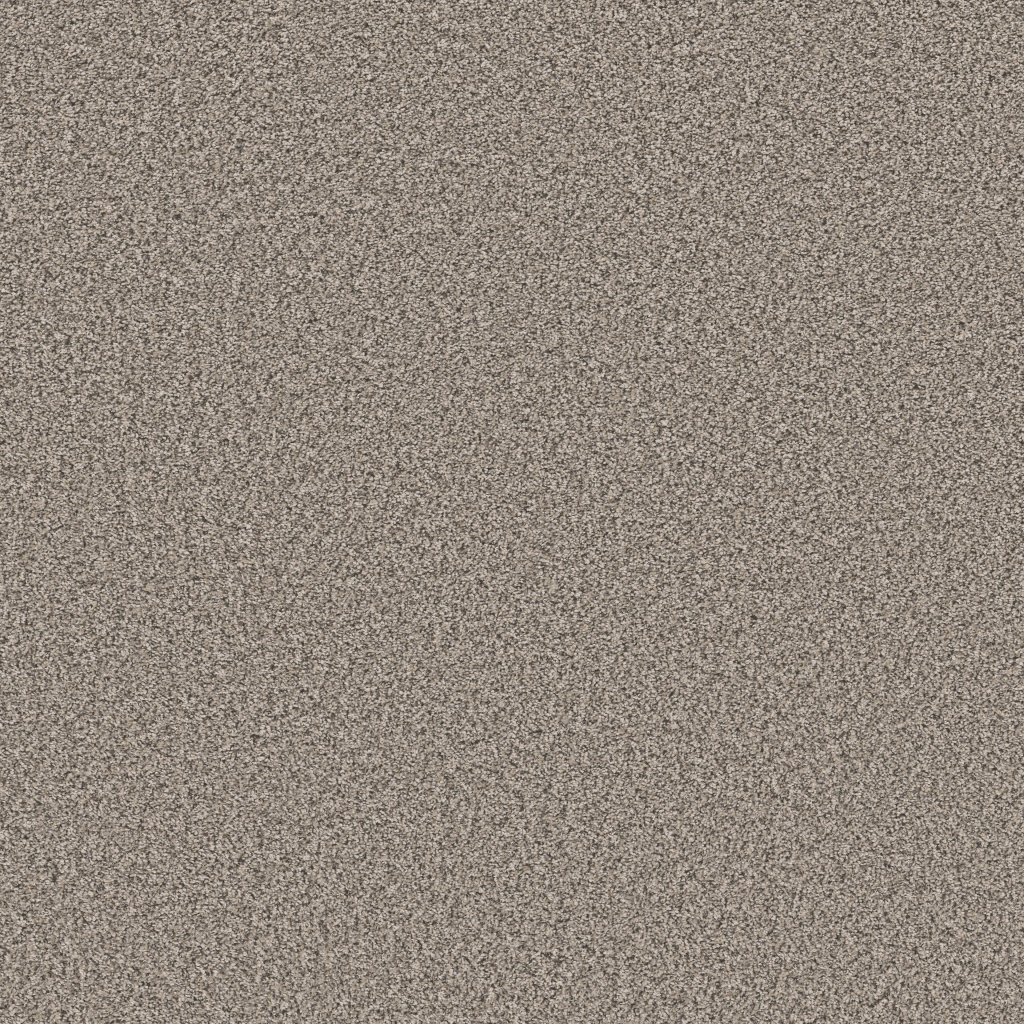 Shaw Floors Soft Radiance - Overcast