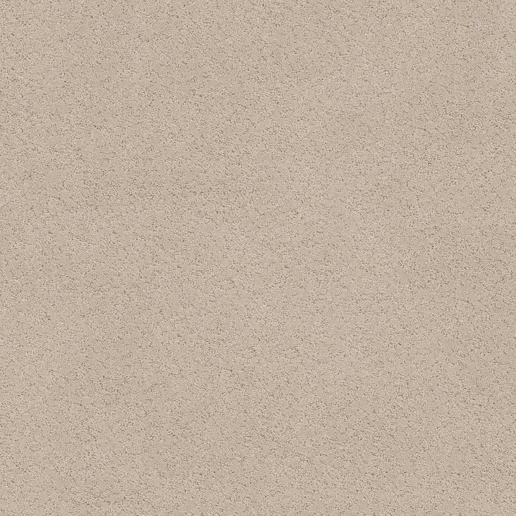 Shaw Floors Secret Adventure - Dune View