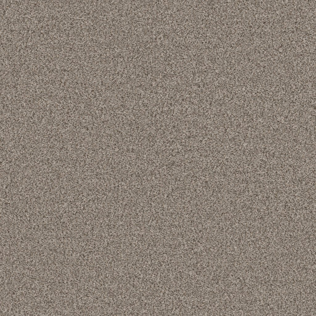 Shaw Floors Truspirit II - Iron Works