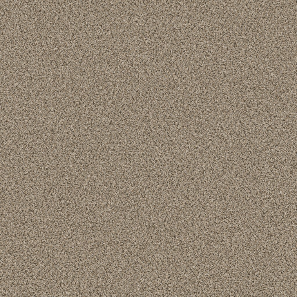 Shaw Floors Abilene II - Twine