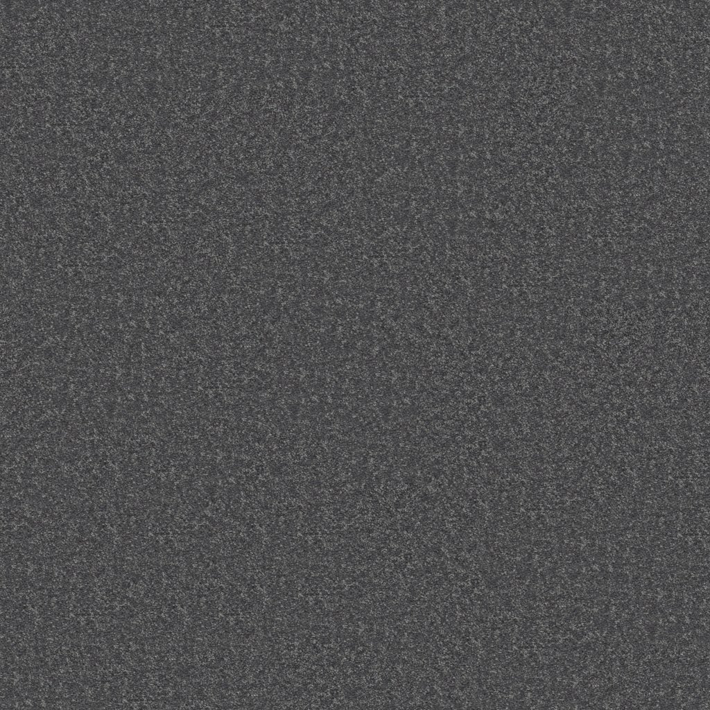 Shaw Floors Newbern Classic 15' - Steel Beam