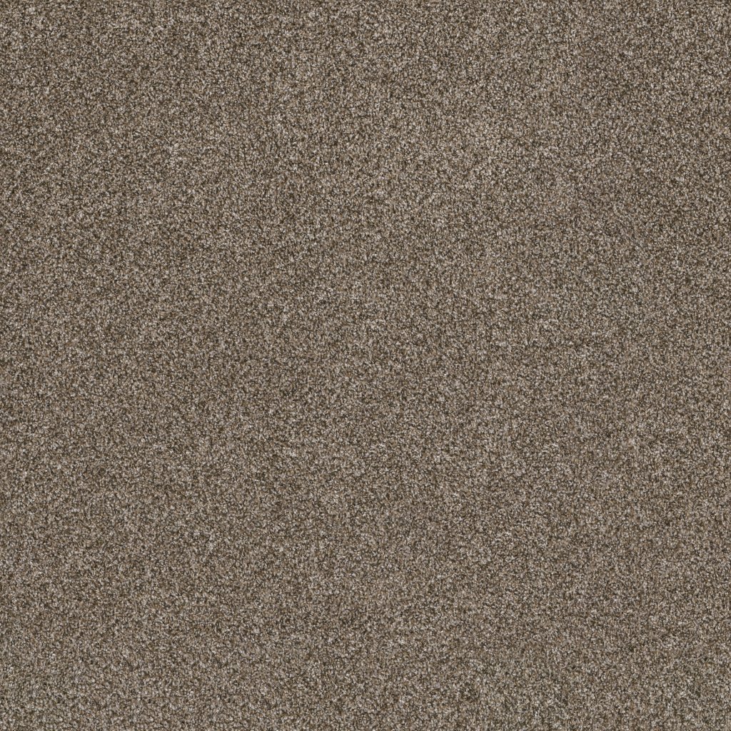 Shaw Floors Soft Effervescence - Mocha Latte'