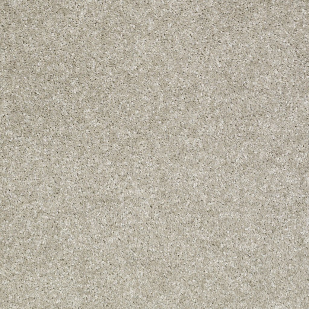 Shaw Floors Victory - Loft