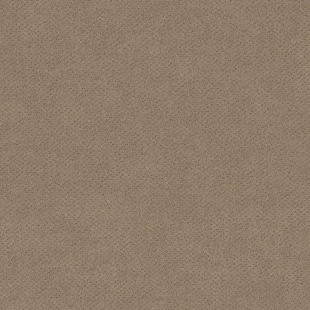 Shaw Floors Mainstay - Desert View