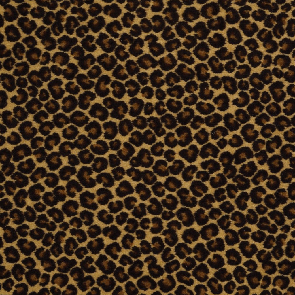 Philadelphia Commercial Cheetah - Keep The Pace
