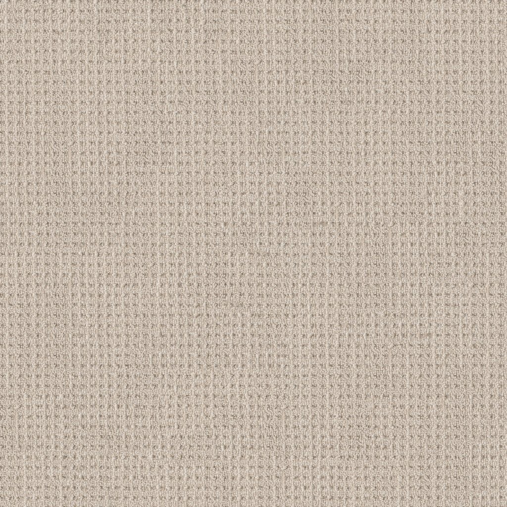Shaw Floors Finely Detailed - Wool Blanket