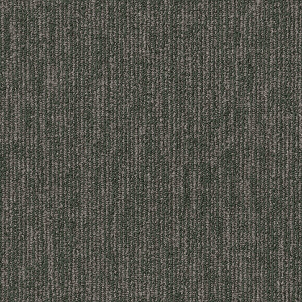 Philadelphia Commercial Engrain - Primitive