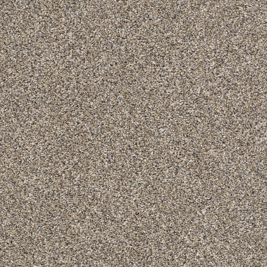 Shaw Floors After It I - Pebble Walk
