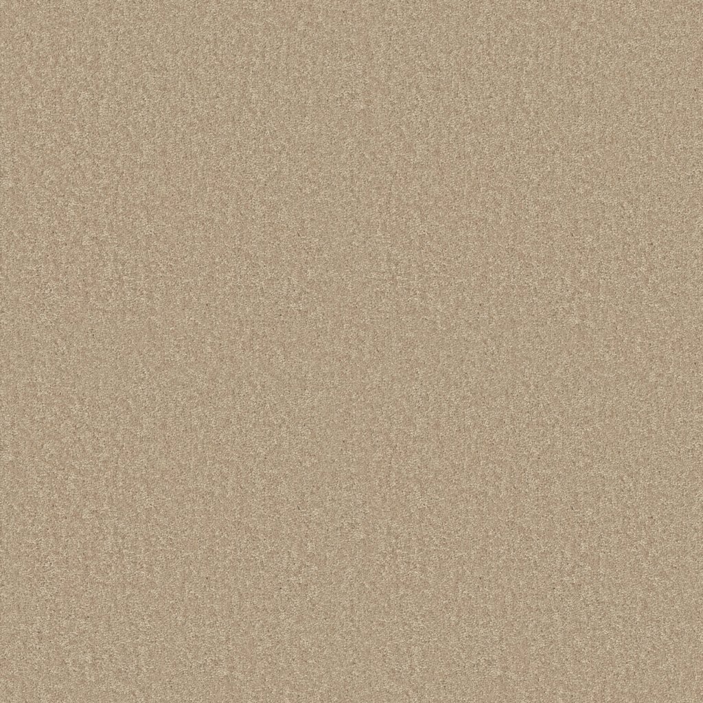 Shaw Floors Dyersburg Classic 15' - Casual Cream