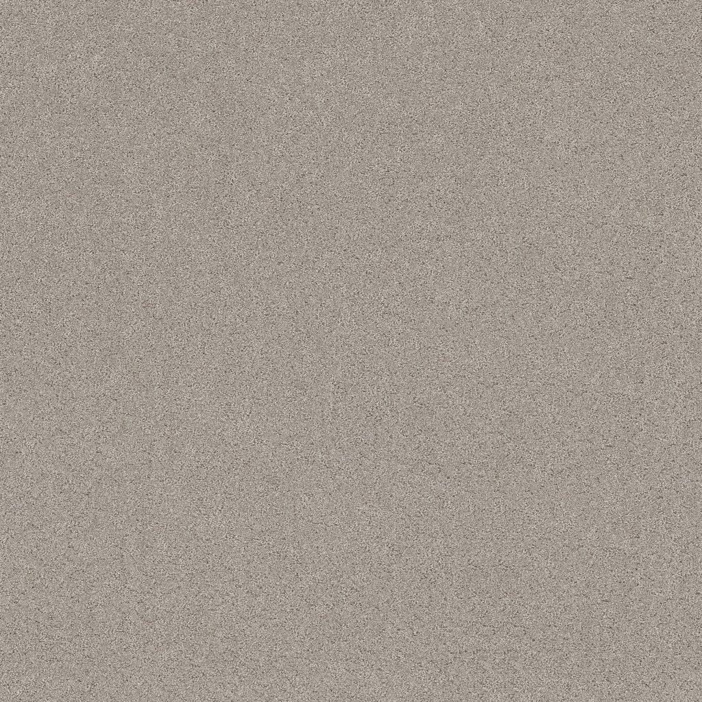 Shaw Floors Secret Adventure - Marble