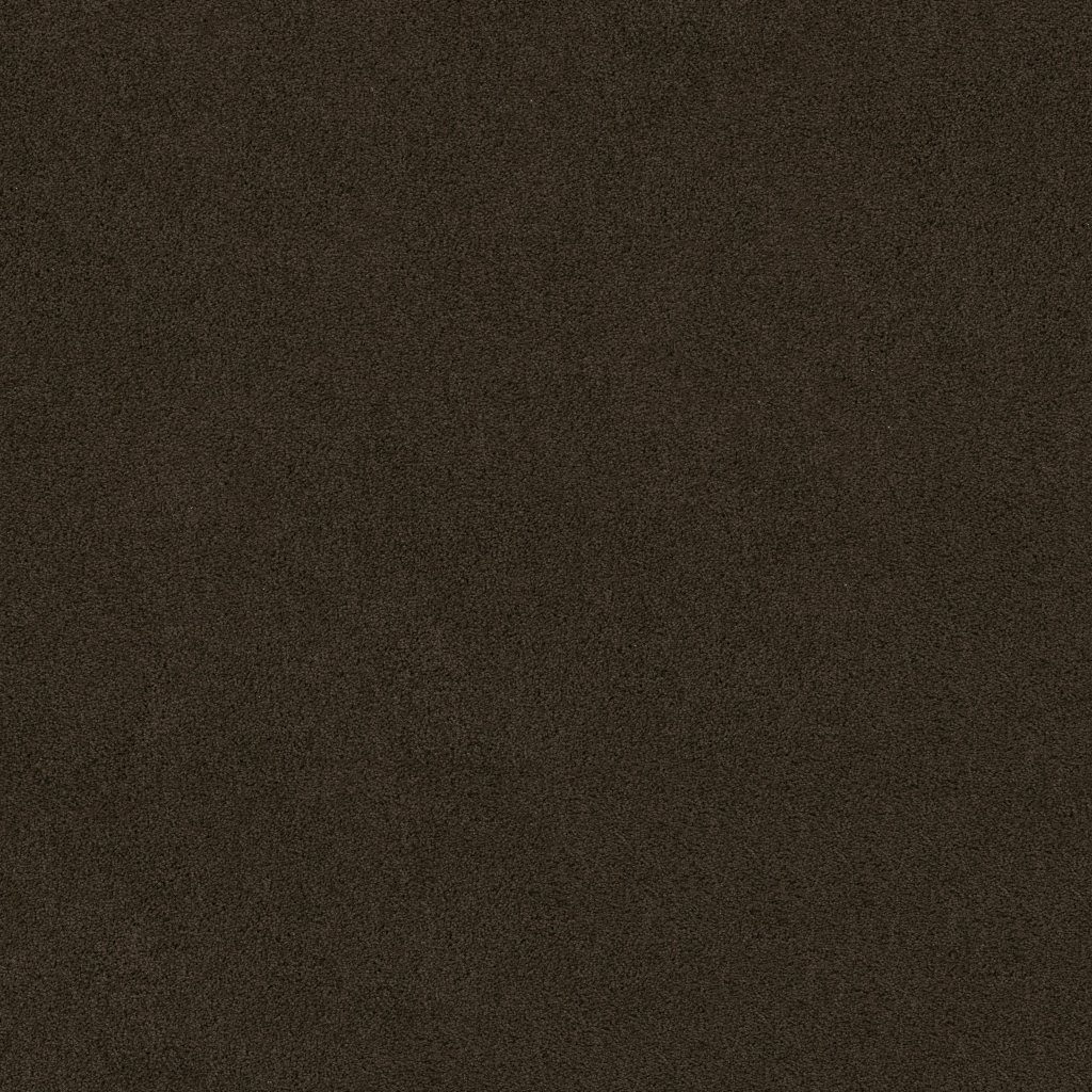 Shaw Floors Origins Ii - Buckeye