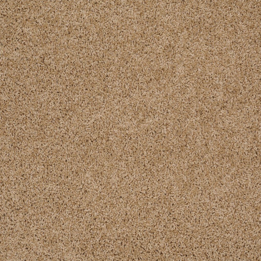 Shaw Floors Woodsboro - Filoli Honey
