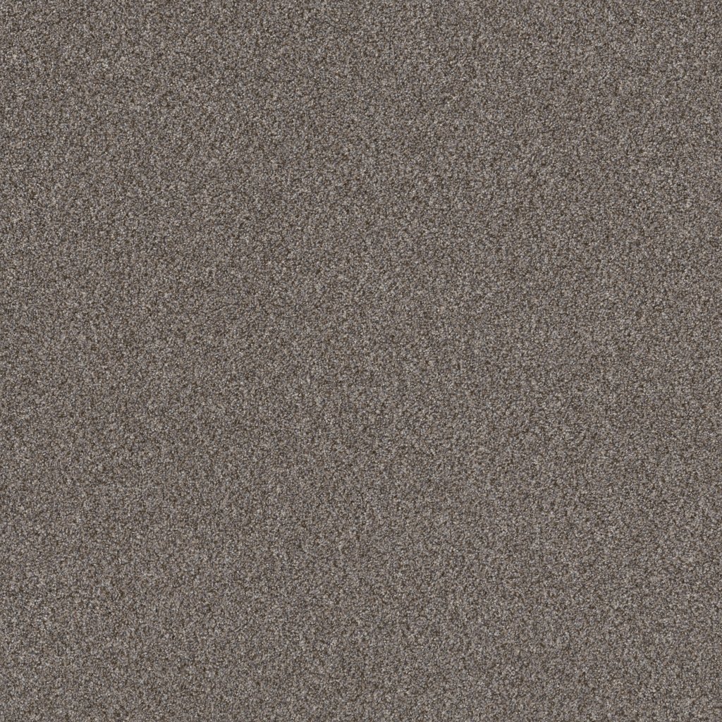 Shaw Floors Right Choice - Baltic Stone
