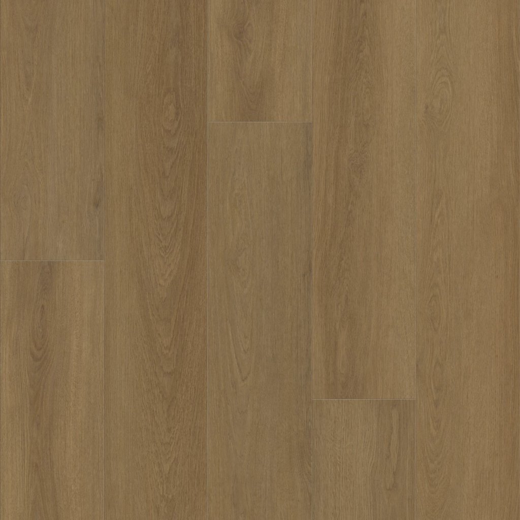 Shaw Floors Dwell - Rich Cocoa