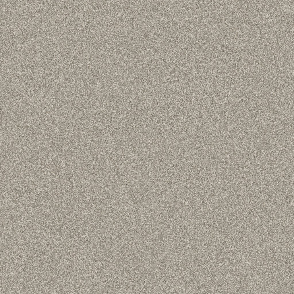 Shaw Floors Classic Tone - Driftwood