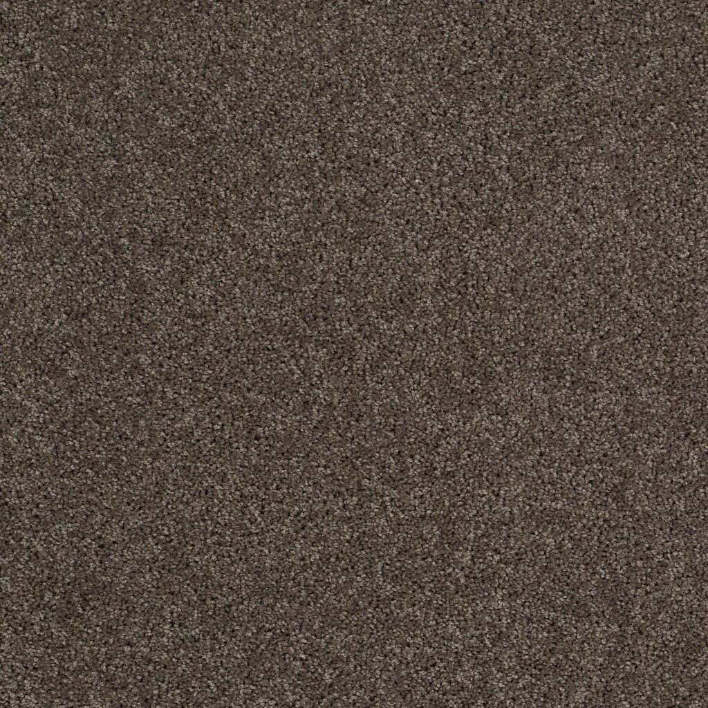 Shaw Floors Tip Of The Hat - Graphite