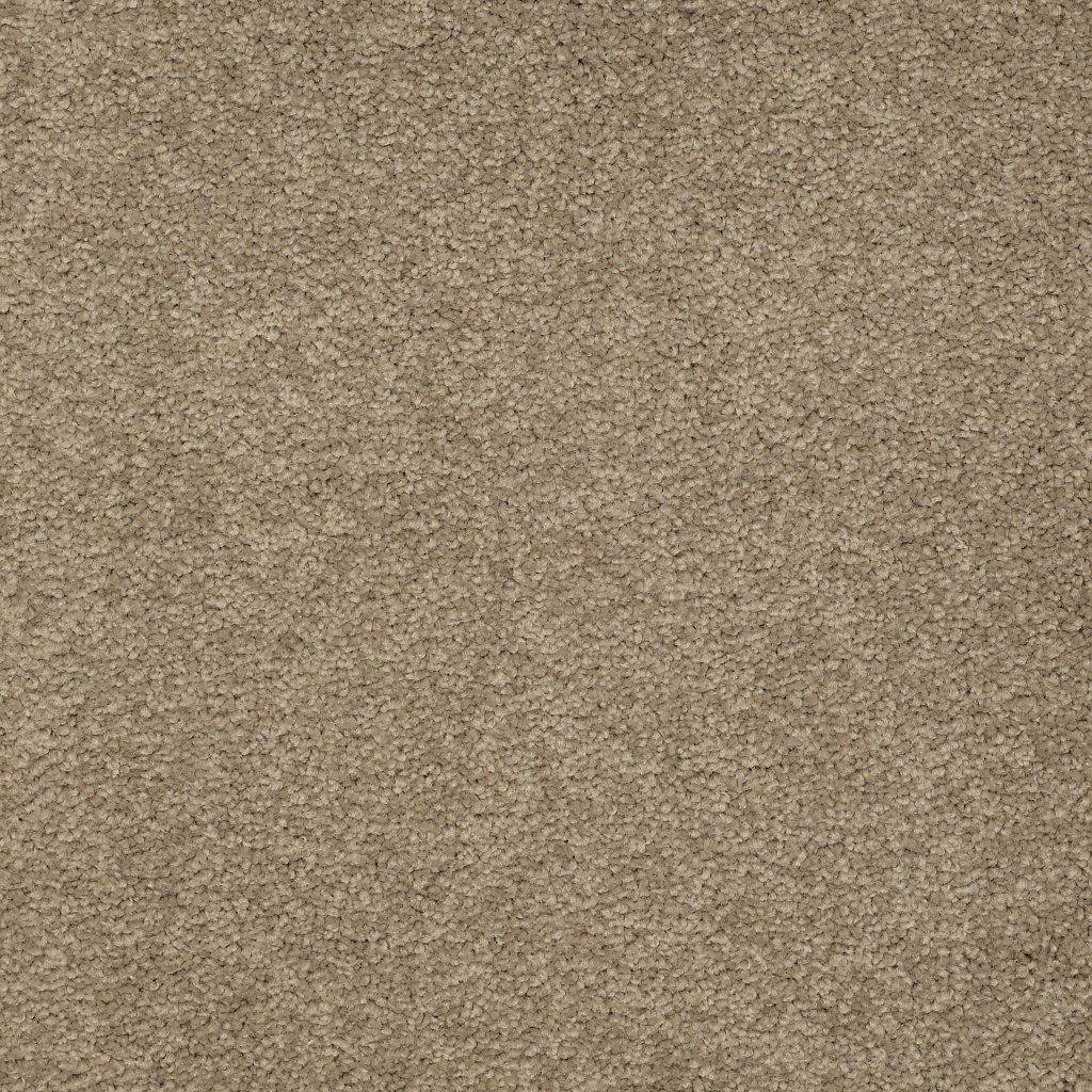 Shaw Floors Timeless Appeal Ii 12' - Indigo
