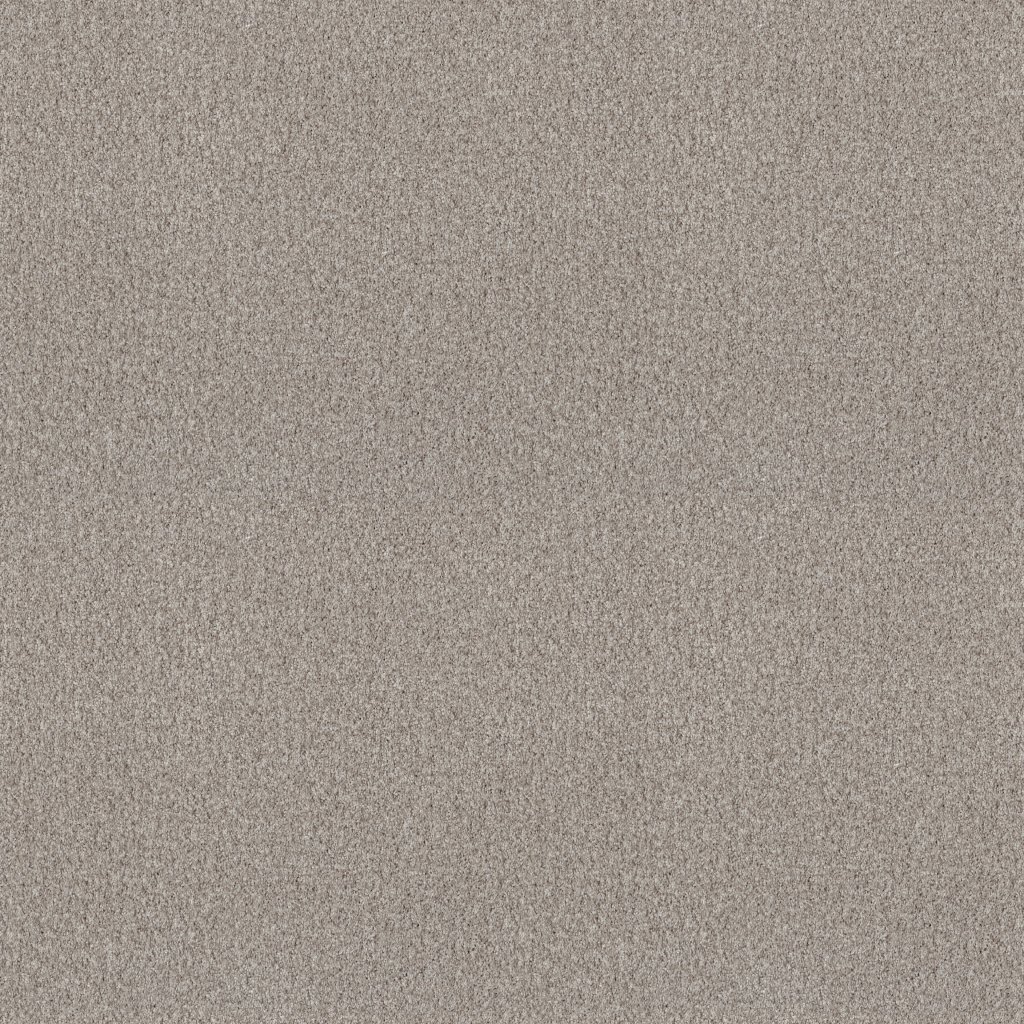 Shaw Floors Tonal Comfort I - My Haven