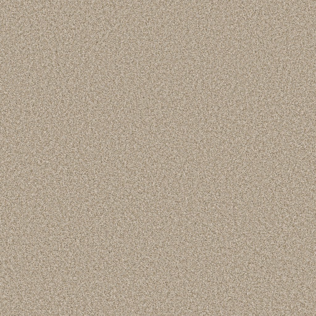Shaw Floors Tweed Comfort II - Vacay