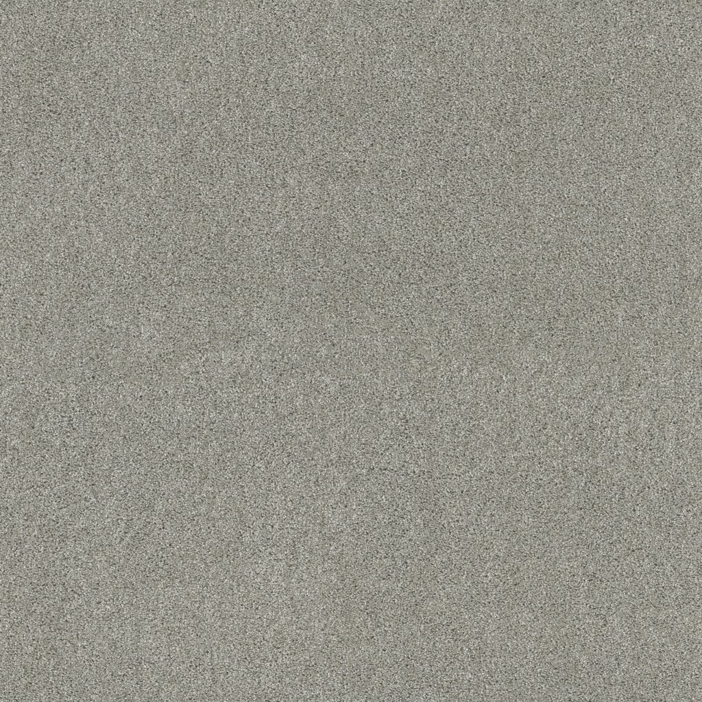 Shaw Floors Ocean View - Celtic