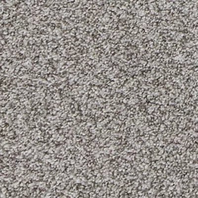Mohawk Canine Comfort - Pebble Path