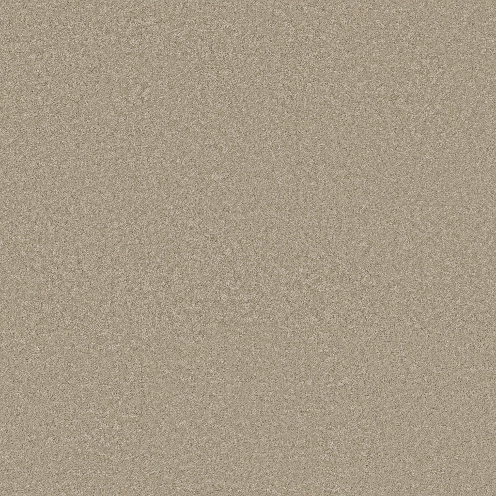 Shaw Floors Way To Go III - Desert Khaki
