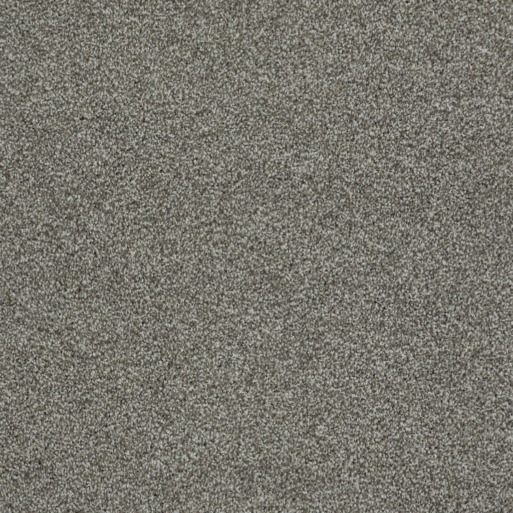 Shaw Floors Always Ready II - Washed Gray